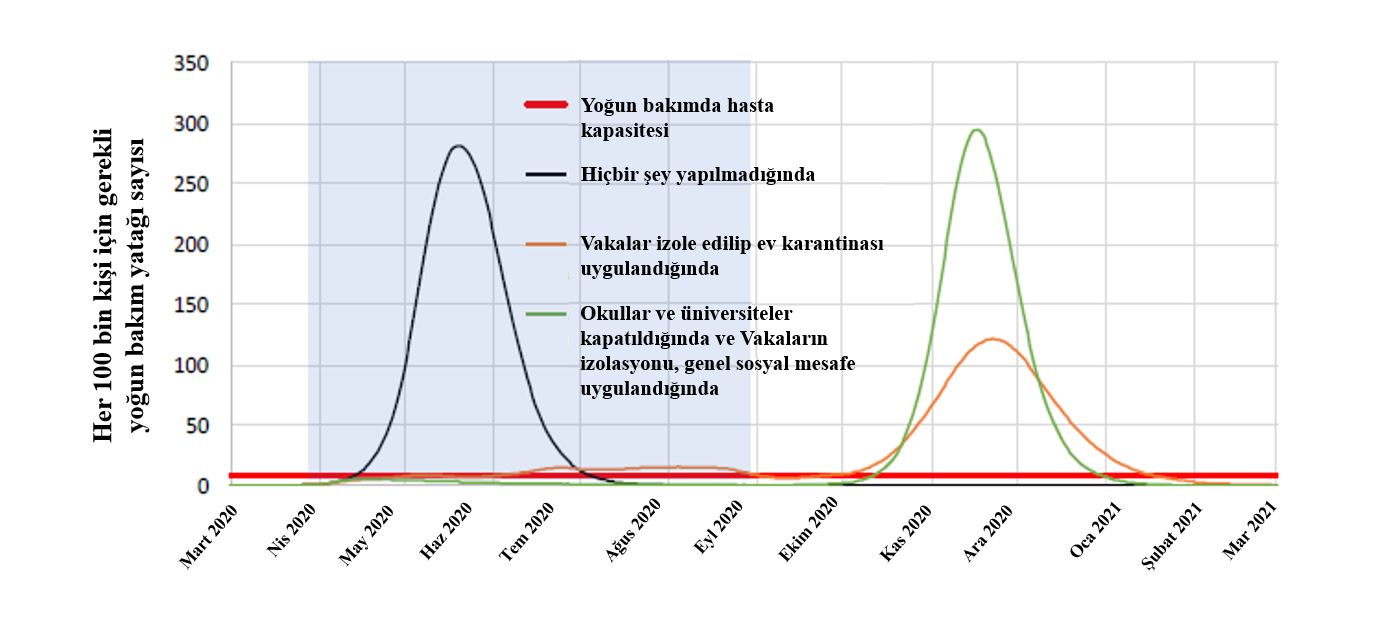 Koronavirüs grafik_2